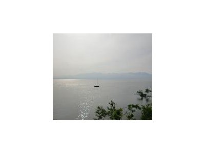 やはり復活しそうです