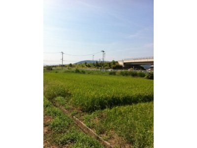 実りの秋に１月位
