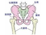 産後骨盤矯正をスタートしました。