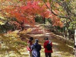 小豆島紅葉の旅を楽しむクーポン