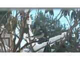 年末年始の営業は