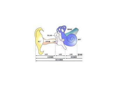耳の疾患
