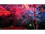 非日常を楽しむ