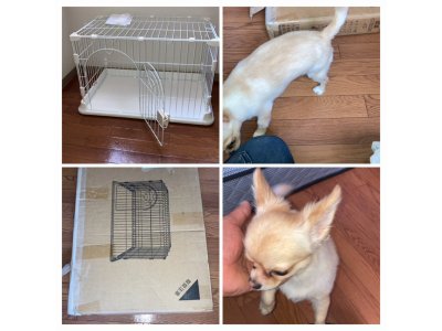 札幌市豊平区にて犬のゲージ組み立て便利屋タクミ美園店