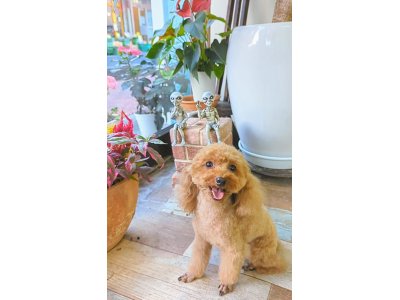 ノアちゃん
