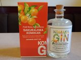 桜島小みかんのジン