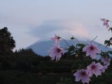 きれいな笠の富士