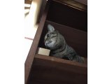 おはようございます。きょうもキラキラ笑顔でよろしくお願いいたします。