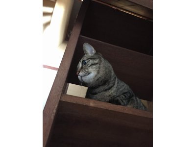 おはようございます。きょうもキラキラ笑顔でよろしくお願いいたします。