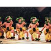 Merrie Monarch Festival　中止