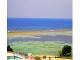 沖縄県本部町の青い海