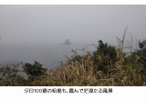 １月２０日（土） 　篠島遊覧