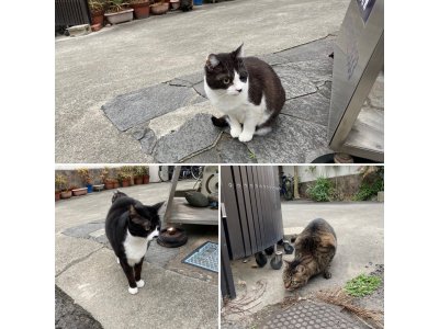 おはようございます。きょうもハッピーな笑顔で頑張りましょう。