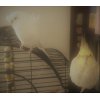 付かず離れず