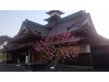 五稜郭公園