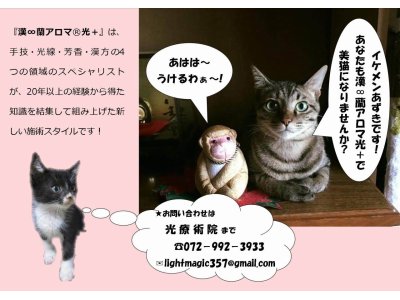 光療術院（ひかりりょうじゅついん）にゃんこ劇場
