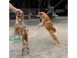 今1番可愛いから、どうしても目が、行くのよね~