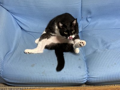 おはようございます。きょうもハッピーな笑顔で頑張りましょう。