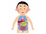 内臓下垂とは