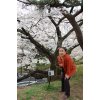 桜・梅・桃・李