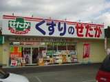 くすりのせたか新勝立店のご案内～