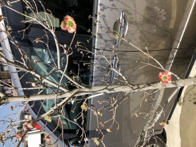 お出かけ日和ですね
