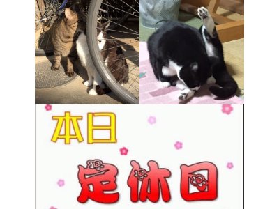 おはようございます。きょうも明るい笑顔でよろしくお願いいたします。