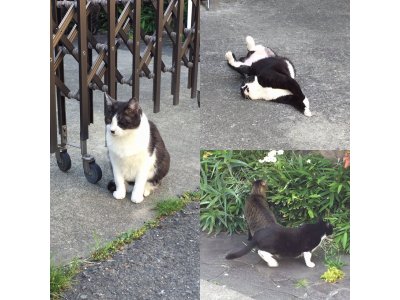おはようございます。きょうもハッピーな笑顔で頑張りましょう。