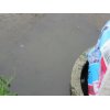 7/5【１回目地干しの朝】