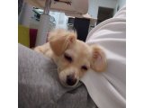 大きくなりました・・・