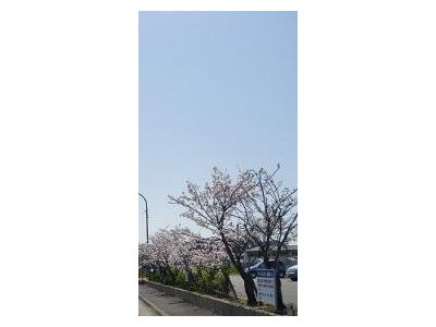 文武両道