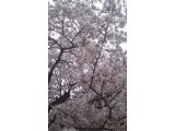 本日のオススメ☆