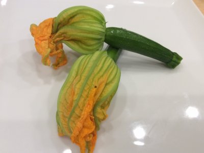 花ズッキーニ　　三浦野菜