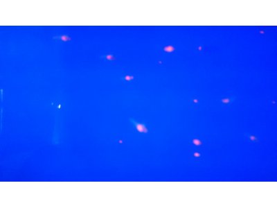 インフルエンザに注意