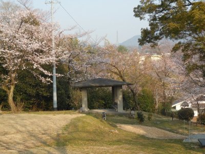 瀬戸公園の桜②