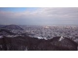 今年はどのような年に?