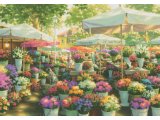 ～開館10周年記念展～　笹倉鉄平 花いっぱい、花色々