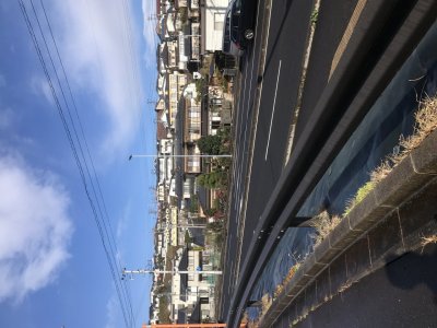 本日は八木山東・恵和町にチラシ配布致しました。