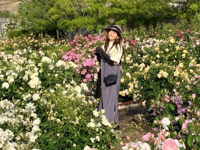 超おすすめ　大阪泉南デビットオースチンの薔薇園