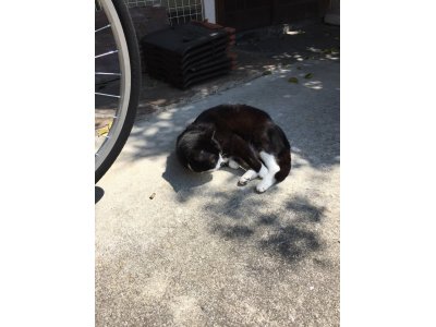 おはようございます。今週も元気な笑顔で頑張りまーす。
