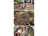 札幌市白石区にて庭のお片付け便利屋タクミ