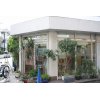 店内の植物がいつも生き生き！　第一弾
