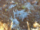 水をまくと氷に