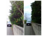 南区澄川一軒屋にて枝切り剪定草刈り 札幌市白石区便利屋タクミ