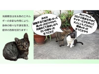 コロナ疲れも光線療法で解消しましょう。