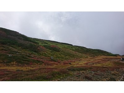 8日(日)9日(月祝)はお休みです
