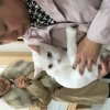 砥鹿神社の秋大祭に25日に参加（白猫があまりに綺麗）しました。13