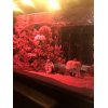 ＪＲ線渋谷駅より徒歩30秒！夜間診療ＯＫのむちうち交通事故・労災治療の整骨院・原宿・新宿
