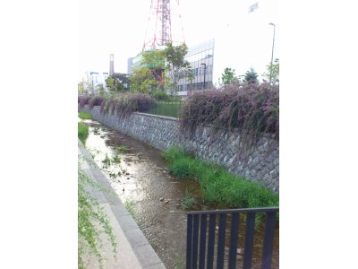 週明け