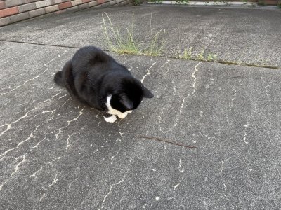 おはようございます。きょうもコロナに負けない元気な笑顔で頑張りましょう。
